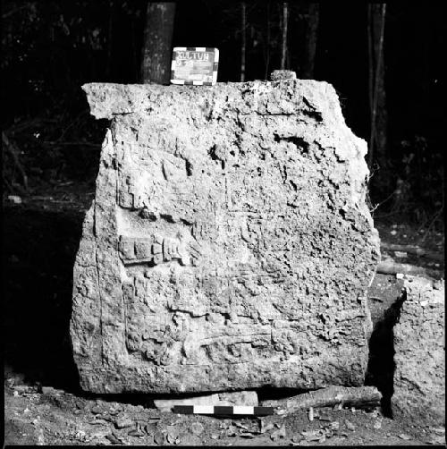 Stela 23 at Xultun