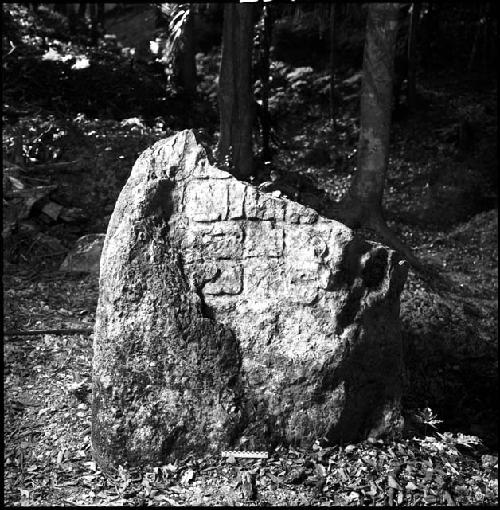 Stela 19 at Uaxactun