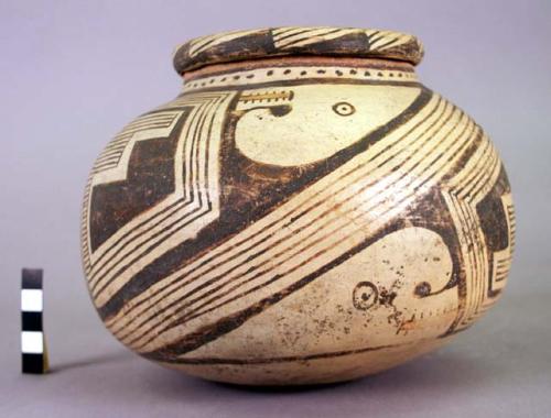 Jar. Decorated ware