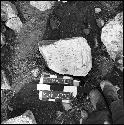 Fragments of Stela 18 at Coba