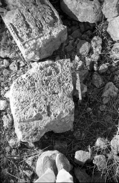 Fragment of Stela 3 at Uxmal