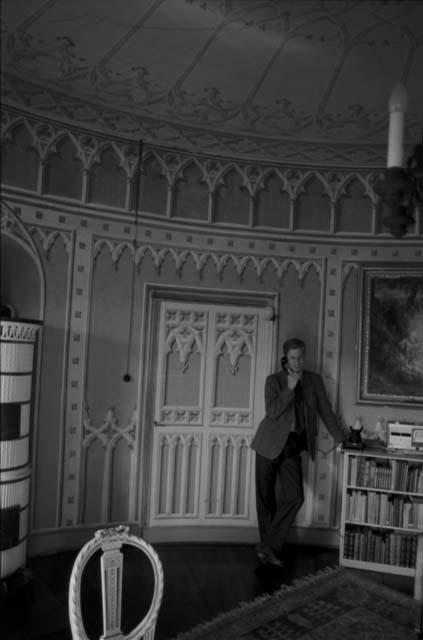 Man on telephone in ornate room