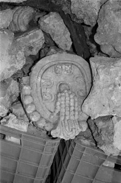 Stucco fragment from Tonina