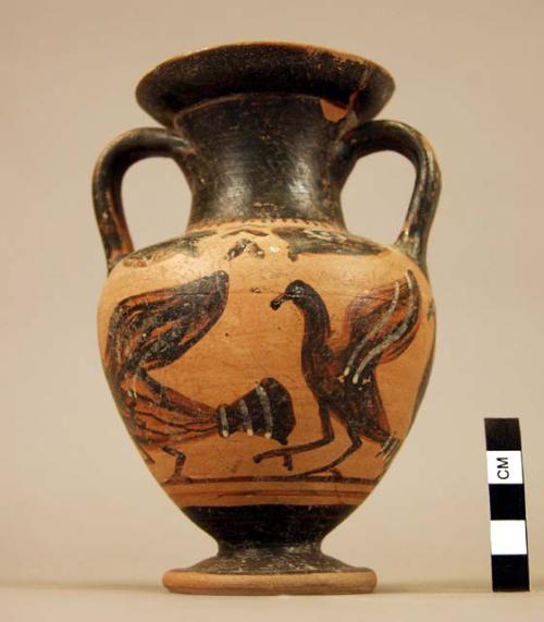 Etruscan black figured pottery amphora