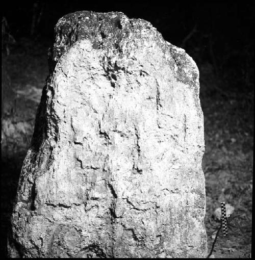 Stela 5 at Uaxactun