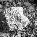 Fragments of Stela 6 at Uxmal