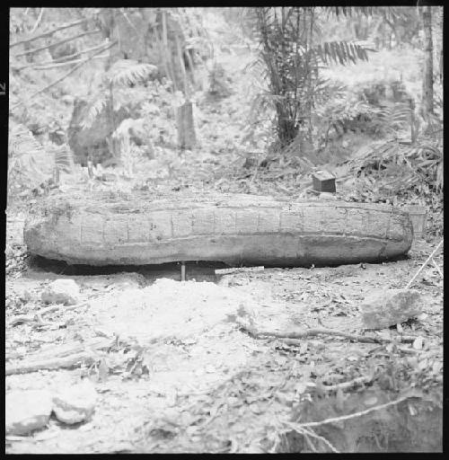 Stela 22 at Uaxactun