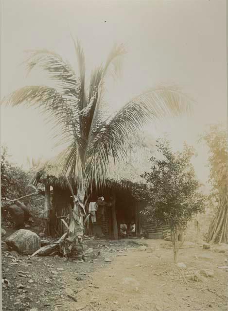 Children sitting in doorway of home