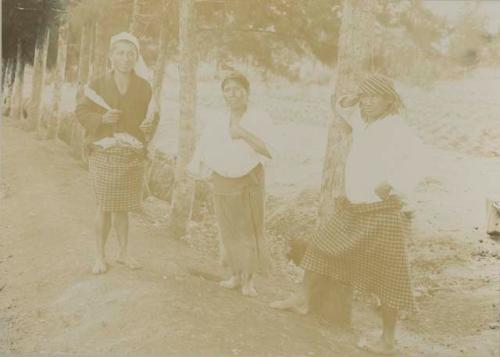 Three people standing beside tree lined field