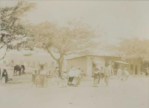 Market scene