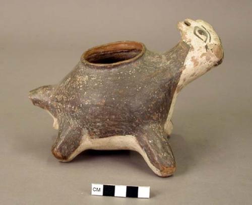 Turtle shaped vessel