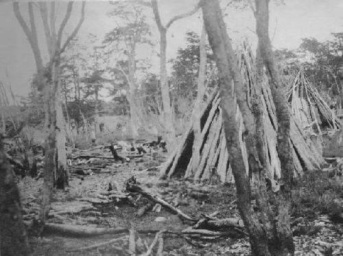 Abandoned Ona camp showing remains of houses burned on death of the occupant.