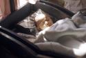Baby sleeping in cradle