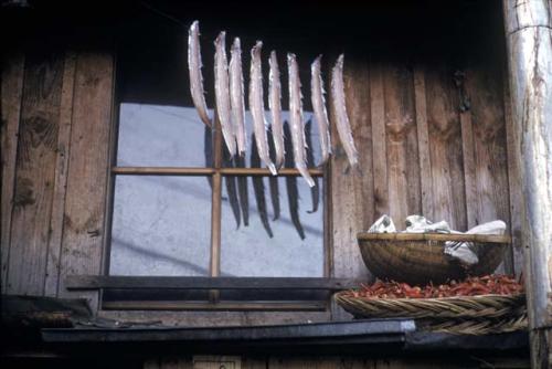 Fish hanging by window and basket of chili peppers