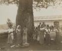 Women gathered beneath a tree, Palín