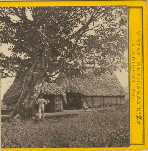 Man standing beside a tree outside of two houses - Sacal de Tierra