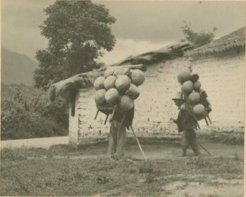 Pottery Carriers in the Hills