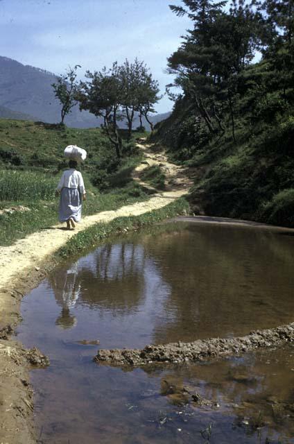 Woman walking on path along water's edge with bundle on her head