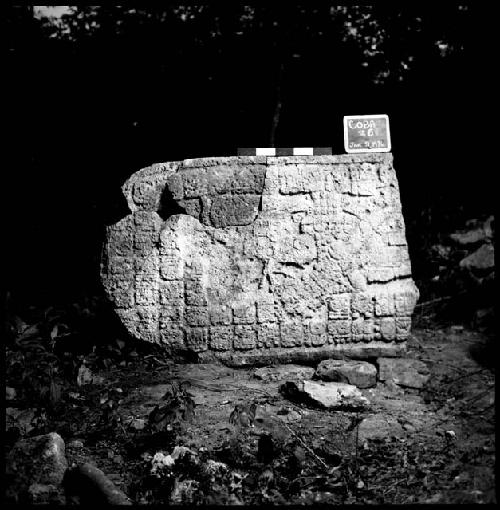 Stela 6 at Coba