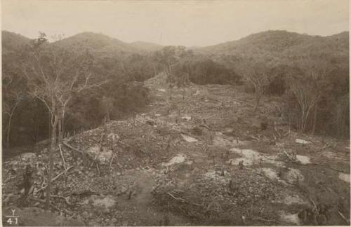 Landscape from Temple