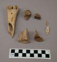 Metacarpal bones of deer, fragments