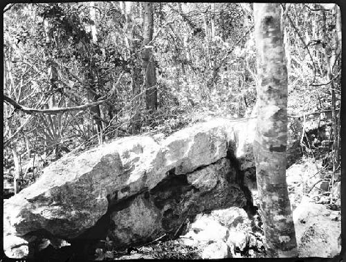 Ancient Quarries - section showing benches of stone yet in place