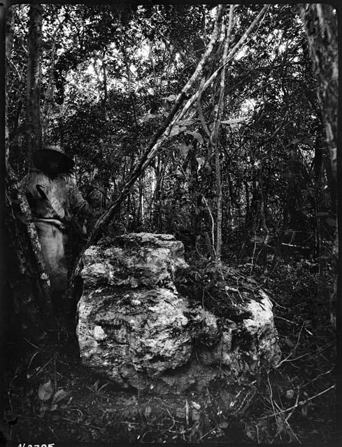 Ancient Quarries - section