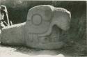 Carved stone head in Ledyard Smith's trial trench