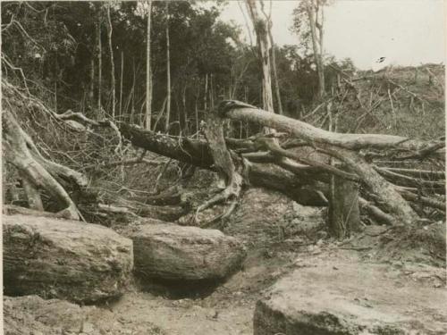 Excavated round flat stones