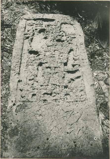 Stela 3