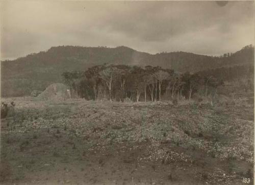 Main Structure - General view looking east