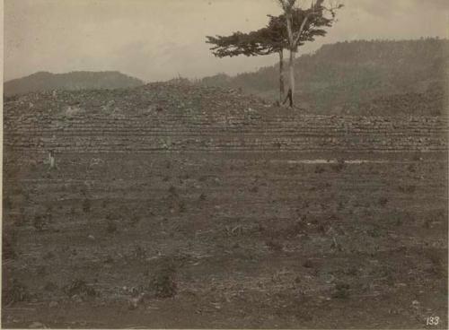 Plaza grande, eastern side, section 3