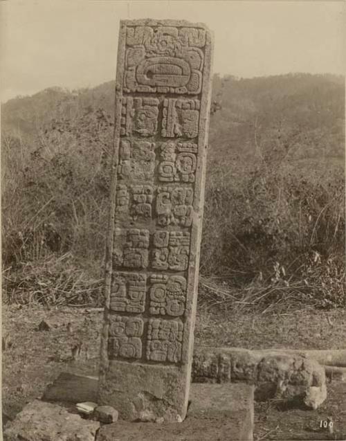 Back of Stela 6