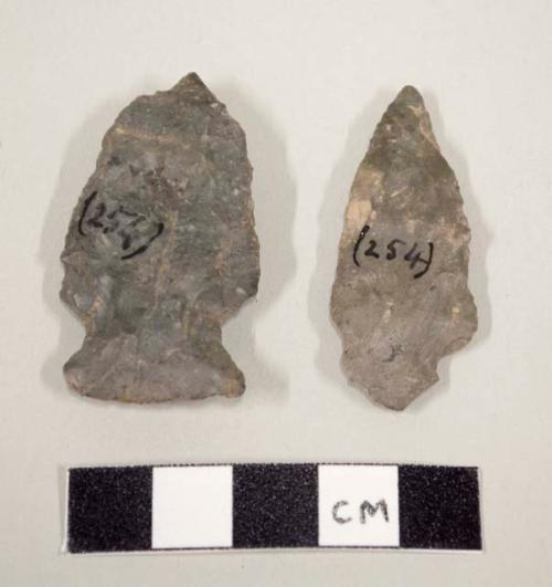 Arrowheads with tang