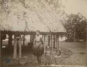 Woman and girls beside grass house