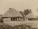 Four Samoan girls and two boys standing nearby two round houses or fale tele