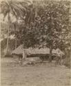 Men outside long house