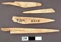 Bone awls, one with flat, spatulate end. range (length): 8.5-4.7 cm.