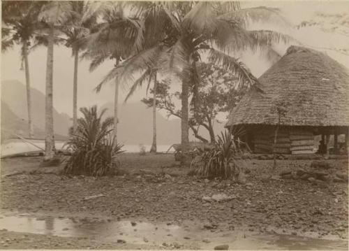 General view of round house, palm trees and landscape in the distance