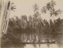 People in canoe on a river in Savai'i Island, Samoa