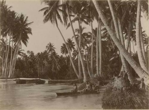 People in a canoe by river bank