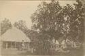 Round houses (fale tele) and bread fruit trees