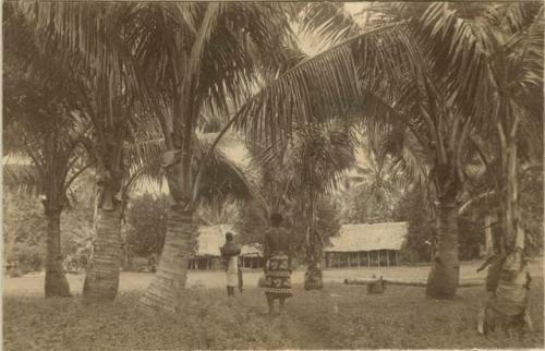 Two people face away from the camera, coconut palms in foreground and government houses in background