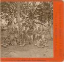 Group under bread fruit trees