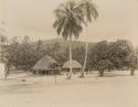 View of Saluafata, men standing in group near two grass houses