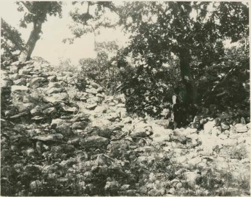 Great wall, view of gap in the wall to show the thickness at the base