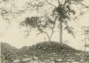 Mound on southern terrace
