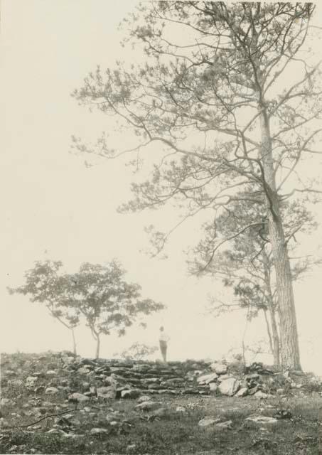 Stairway No. 4, steps on northwest corner of southern terrace