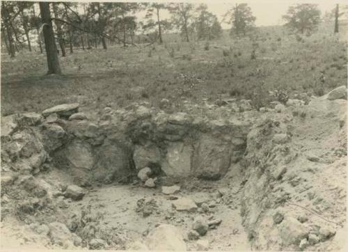 Southwest corner of main enclosure