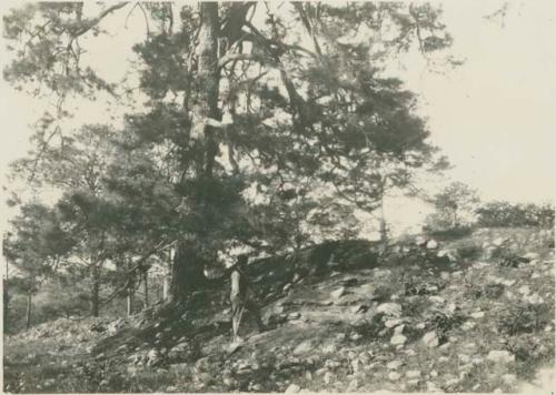 Steps of Central Mound in Main Enclosure